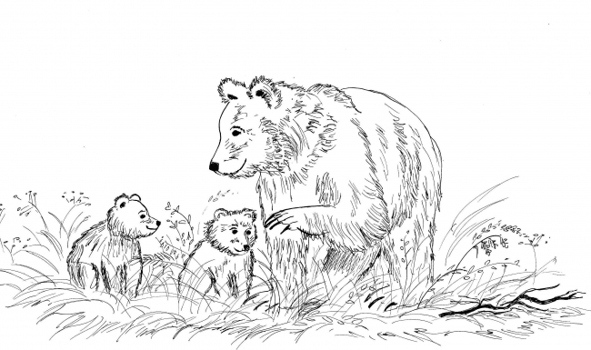 Portfolio - Natalia Krzyżanowska - ilustrator, akwarelista, grafik