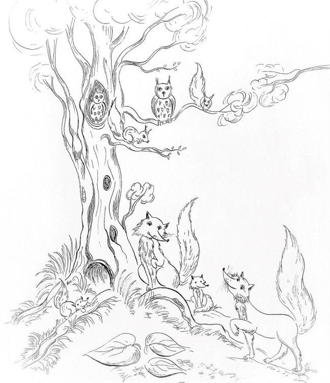 Portfolio - Natalia Krzyżanowska - ilustrator, akwarelista, grafik