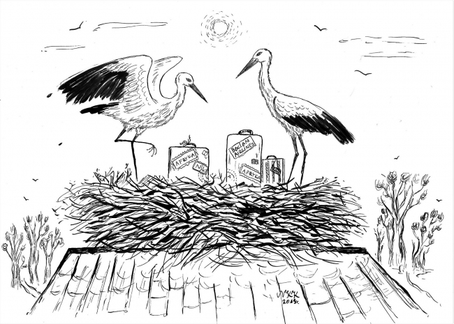 Portfolio - Natalia Krzyżanowska - ilustrator, akwarelista, grafik