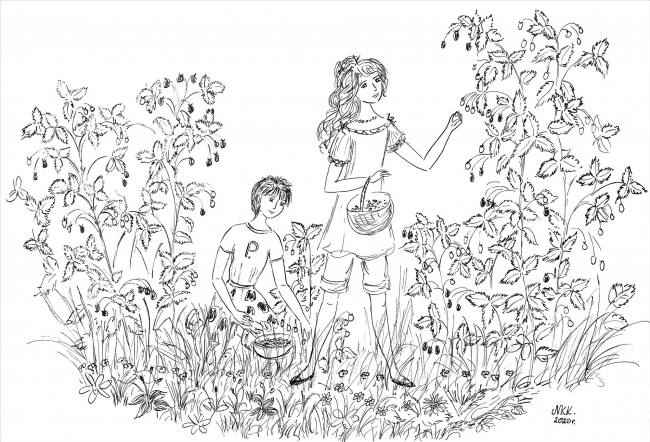 Portfolio - Natalia Krzyżanowska - ilustrator, akwarelista, grafik